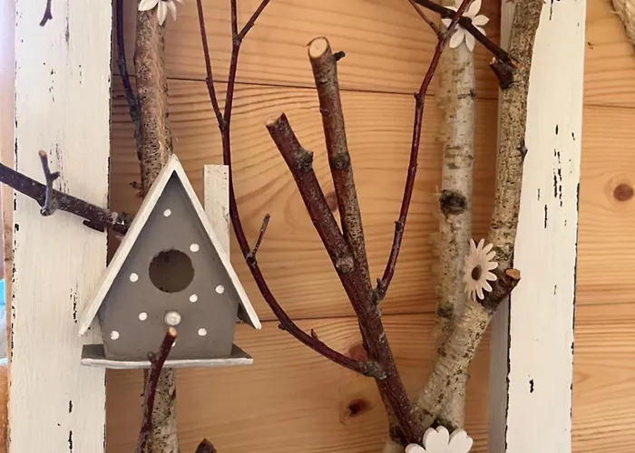 木屋 Insolite Cosy